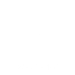 vector web design logo